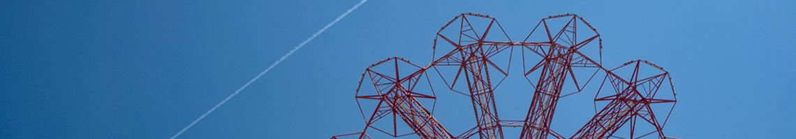 I HAVE SEEN THE FUTURE